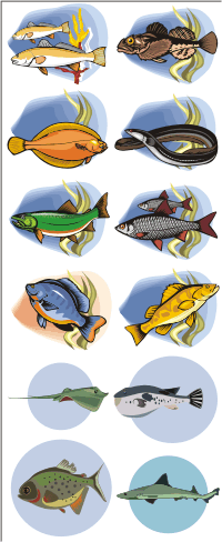 Векторный клипарт - Рыбы (цветные)