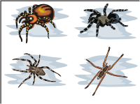 Vector Clip Art - Spiders