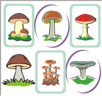 Vector Clip Art - Mushrooms 2