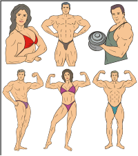 Vector Clip Art - Bodybuilding