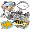 Набор изображений 'Рыбы'