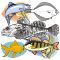 Vector graphics download package: Рыбы