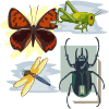 Vector clipart set 'Insects Clipart'